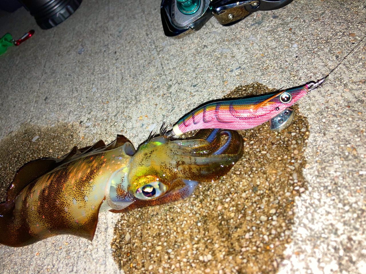 DAIWA 20エメラルダス AIR AGS 75MLMの最安値・インプレ・釣果 | 本音