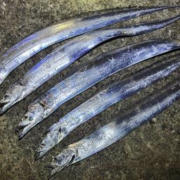 タチウオ