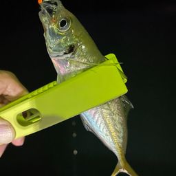 アジ