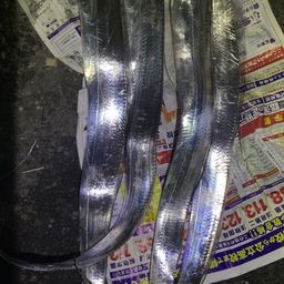 タチウオ
