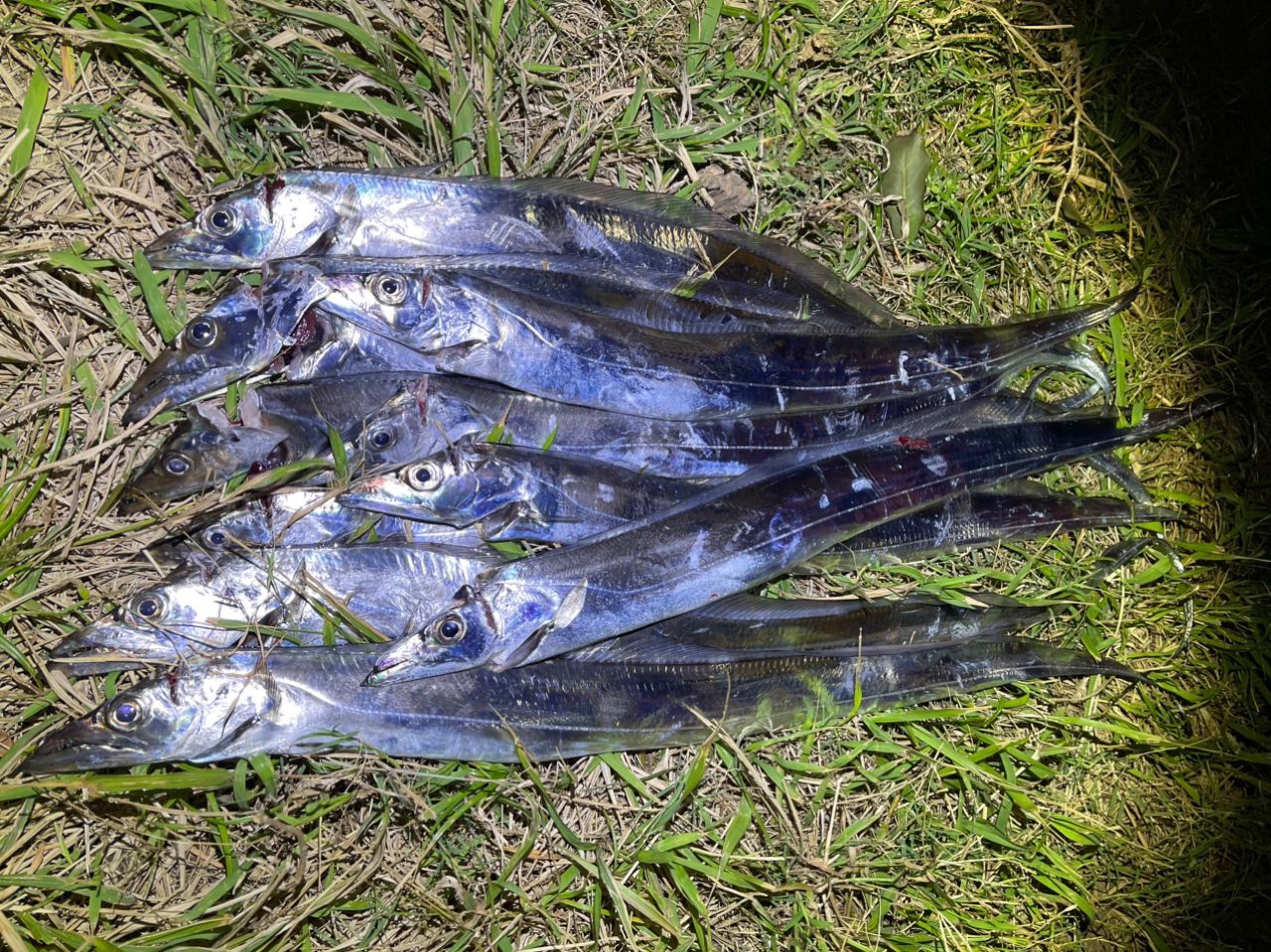 DAIWA 21ラブラックス AGS 93MLの最安値・インプレ・釣果 | 本音