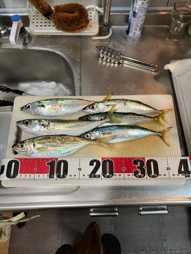 仮屋湾