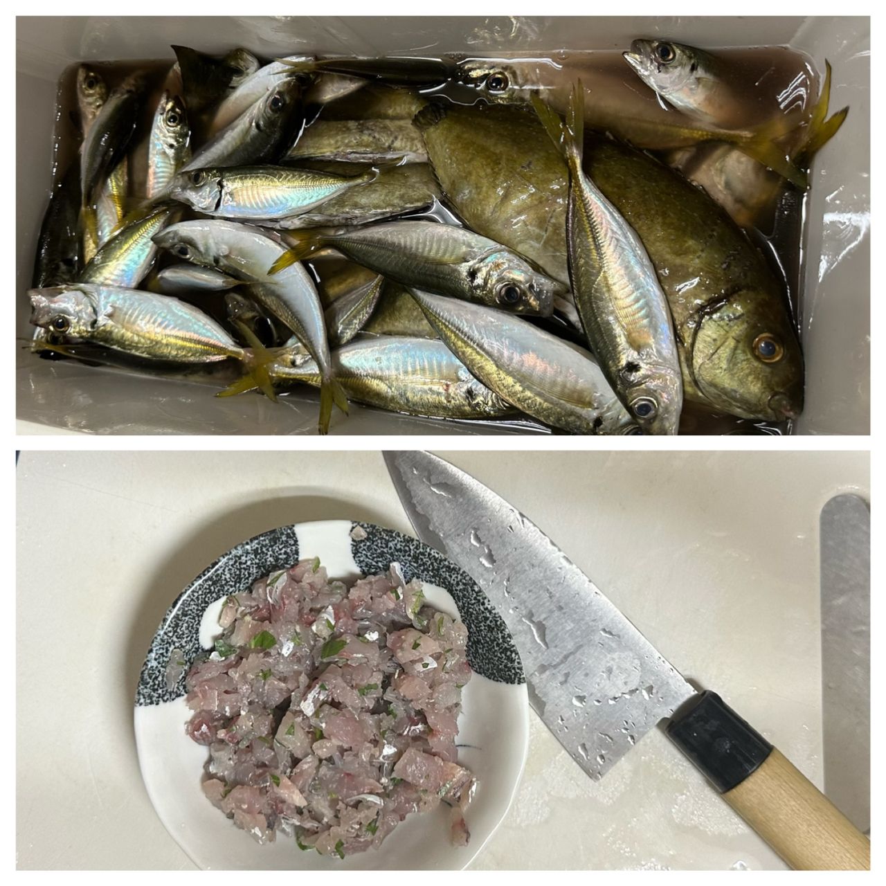 アジ