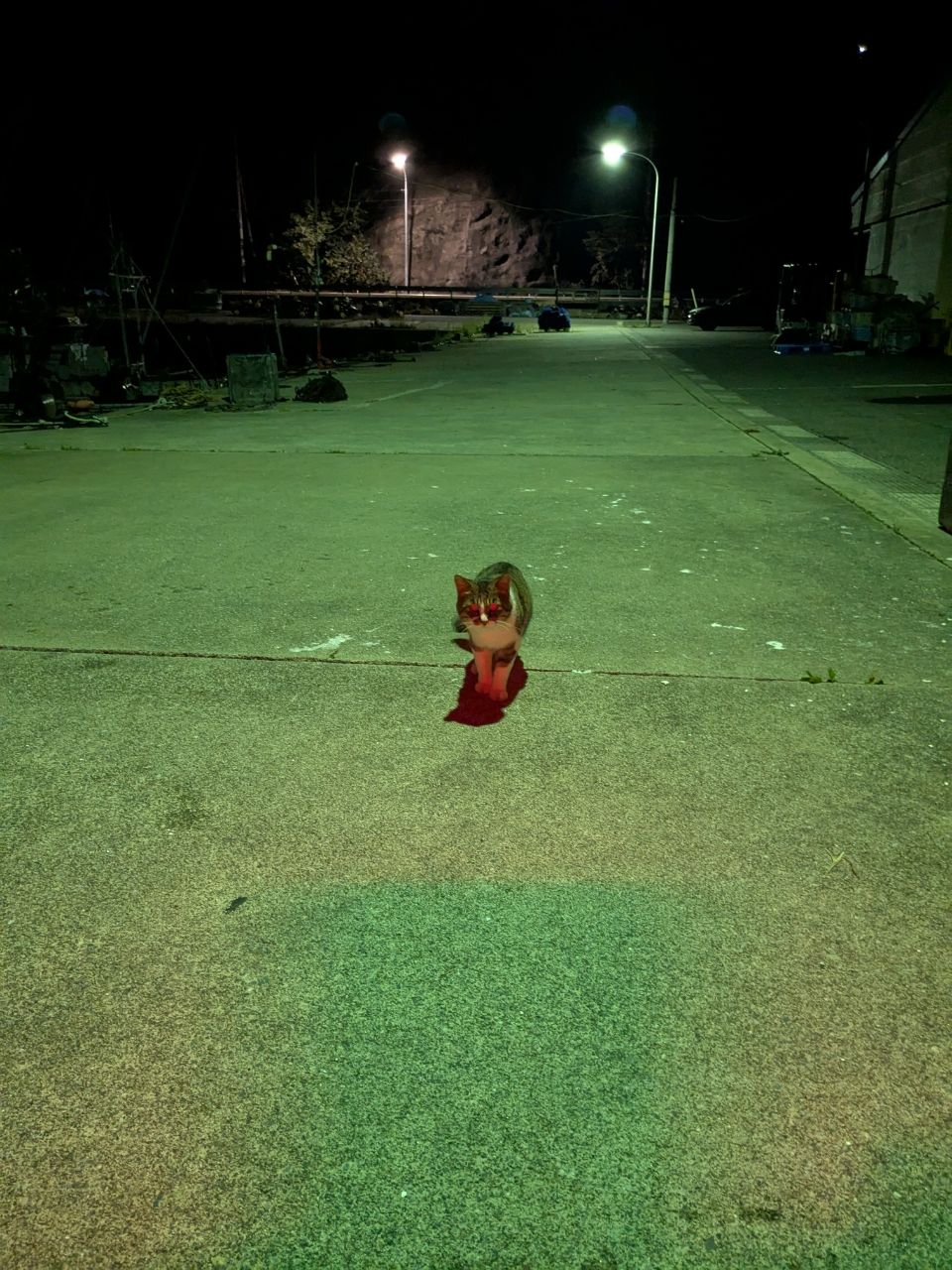 アジ