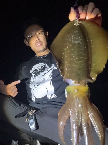 玄界灘