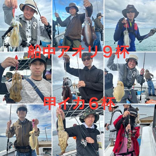アオリイカの釣果