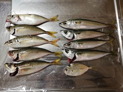 那珂湊港