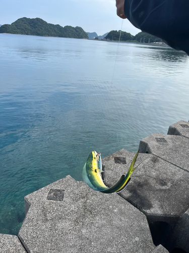仙崎湾