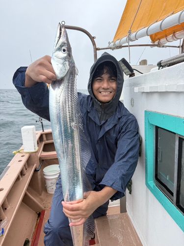 タチウオの釣果