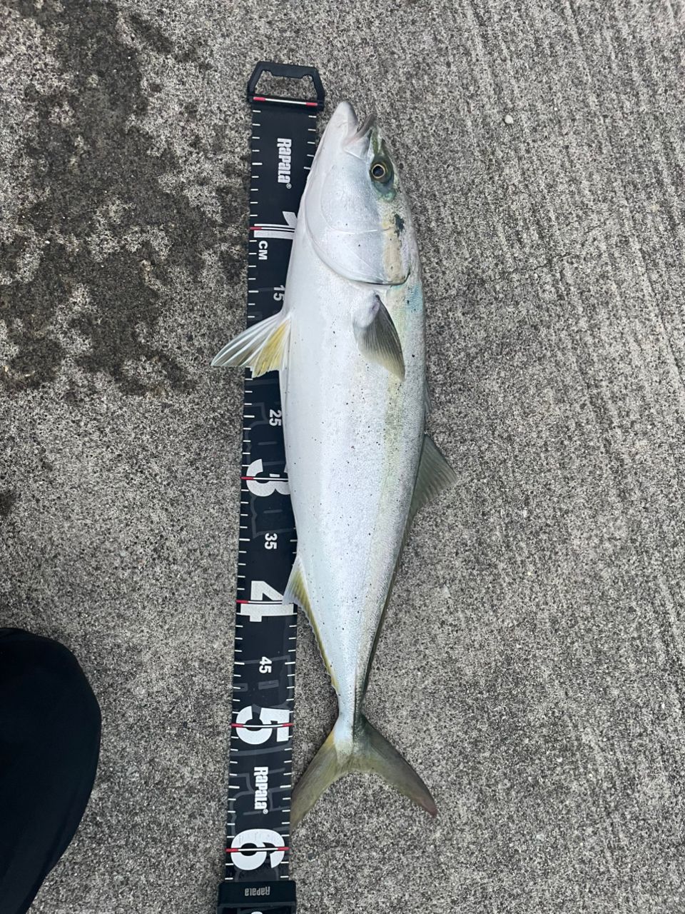 SHIMANO 20コルトスナイパー XR S106M/PSの最安値・インプレ