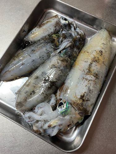 雄島