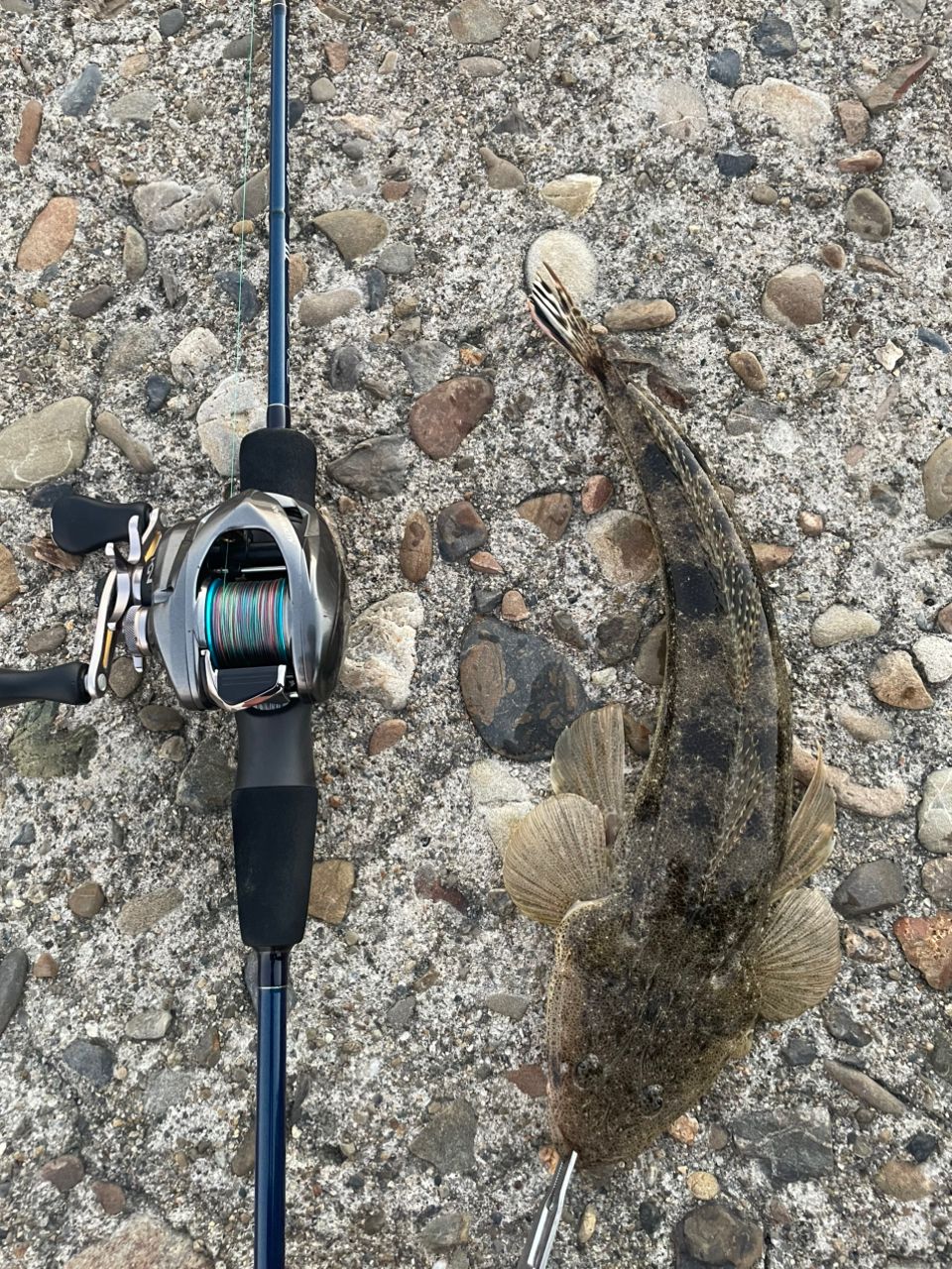 20 ブルーカレントIII 69 ヤマガブランクス ブルーカレントⅢ69を実釣インプレ。操作感と