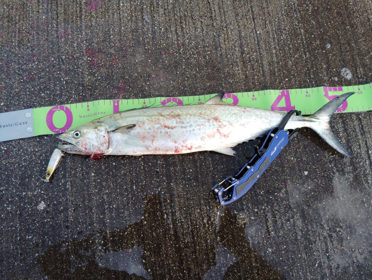 DAIWA 13ジグキャスター MX 106MHの最安値・インプレ・釣果 | 本音の