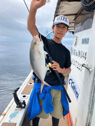 ネイリの釣果