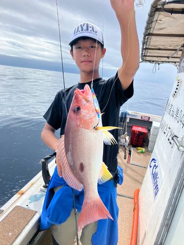 モンツキイサキの釣果