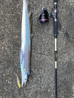 タチウオの釣果