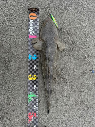 釣果