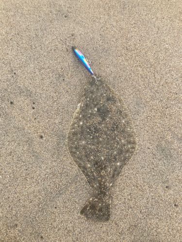 新舞子海岸（いわき）