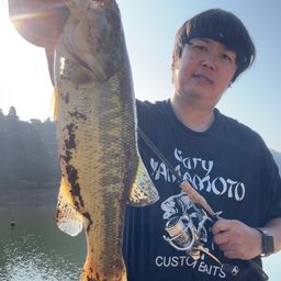 ブラックバス