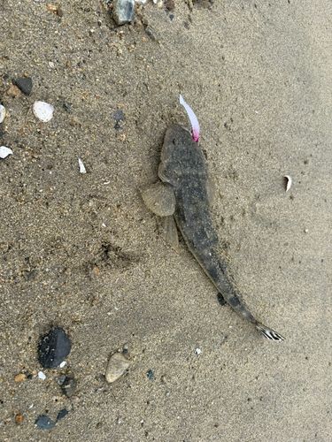 伊勢湾
