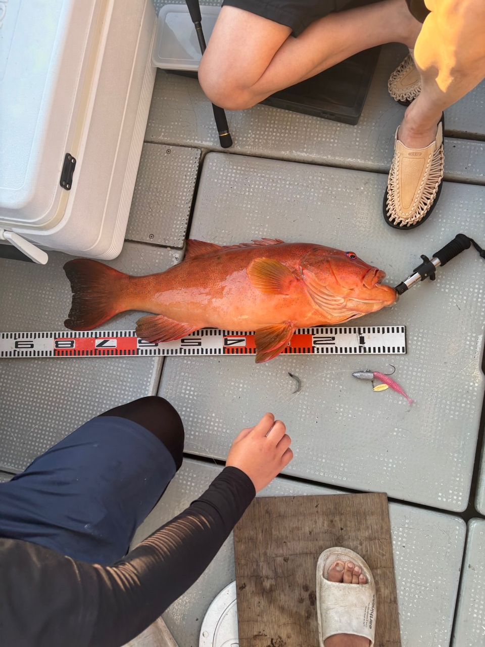 田畑良朗@なつき丸さんの釣果 2枚目の画像