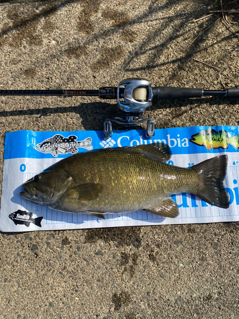 DAIWA 20リベリオン（センターカット2ピース スピニングモデル