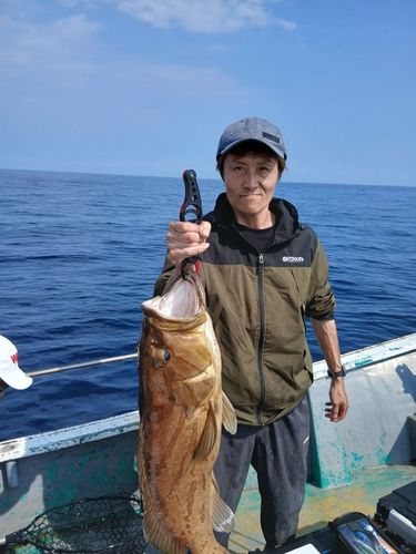 ホウキハタの釣果