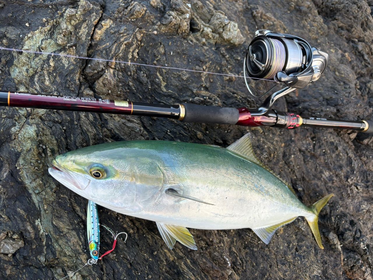 DAIWA 21オーバーゼア グランデ（サーフモデル） 97Mの最安値