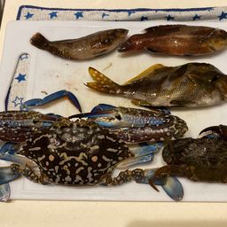 タイワンガザミ