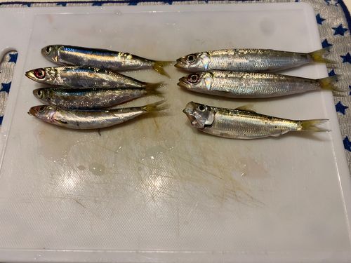宮崎漁港（吉良サンライズパーク）