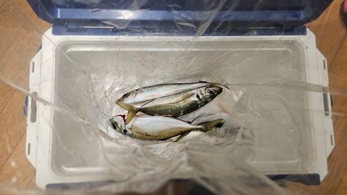 七尾北湾