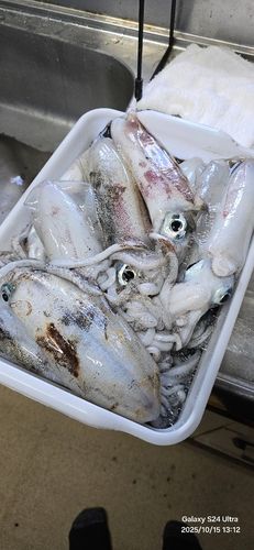 津軽半島
