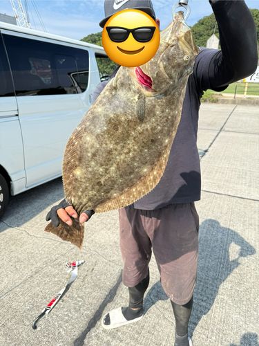 ヒラメの釣果
