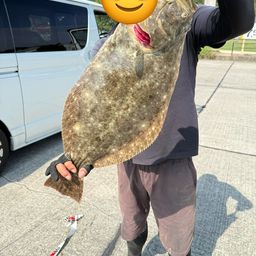 ヒラメ