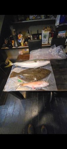 別府湾