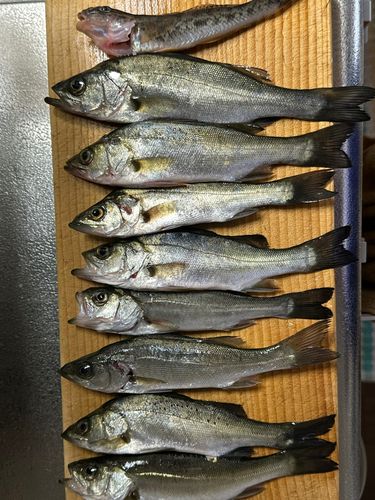根岸湾