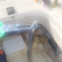 タチウオ