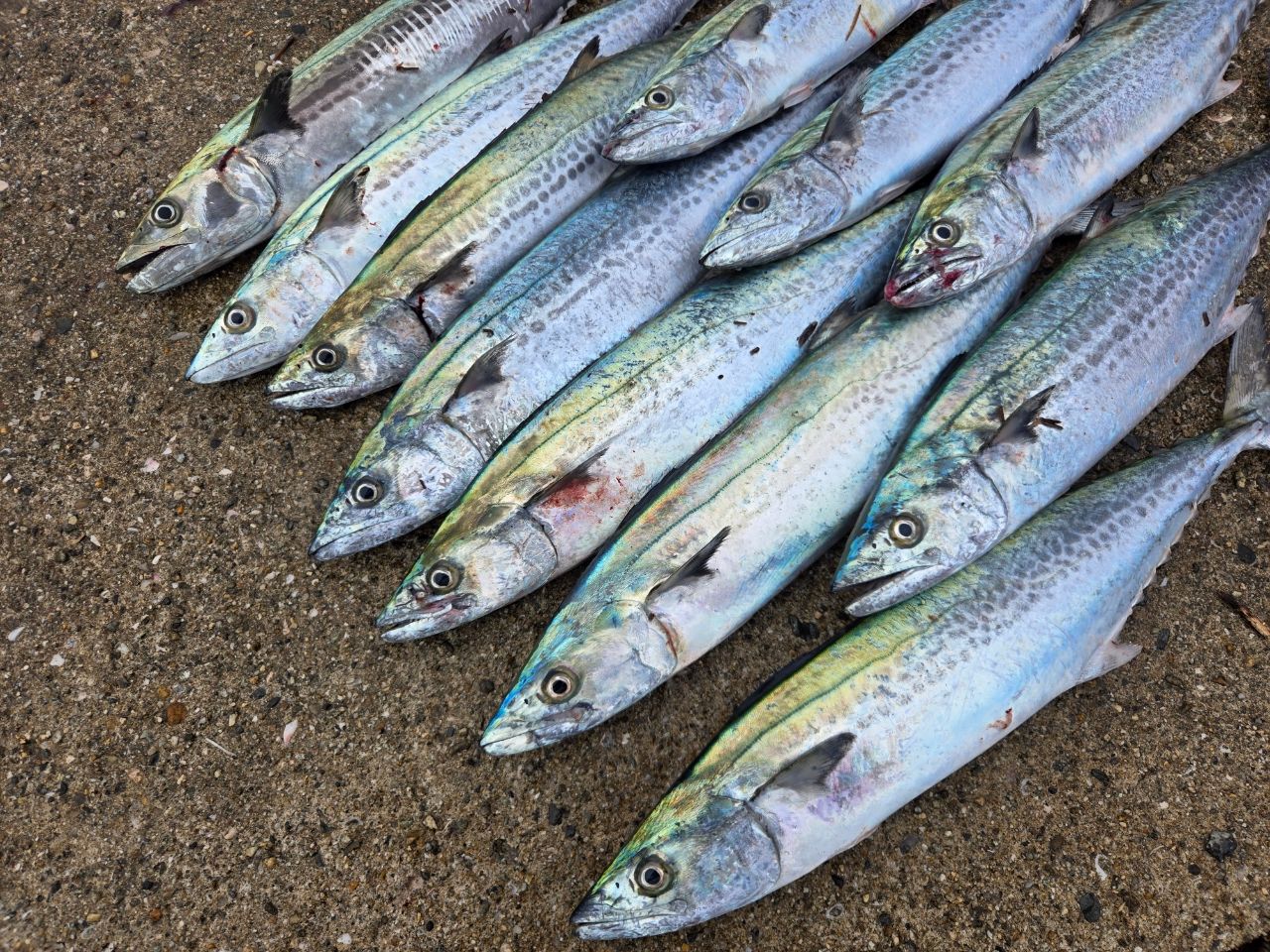 20コルトスナイパーXR S106M/PS シマノ コルトスナイパーXR S106M/PS (ロッド・釣竿) 価格比較