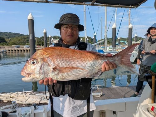 タイの釣果