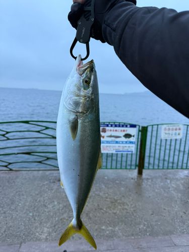 海辺つり公園