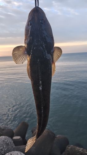 男鹿半島