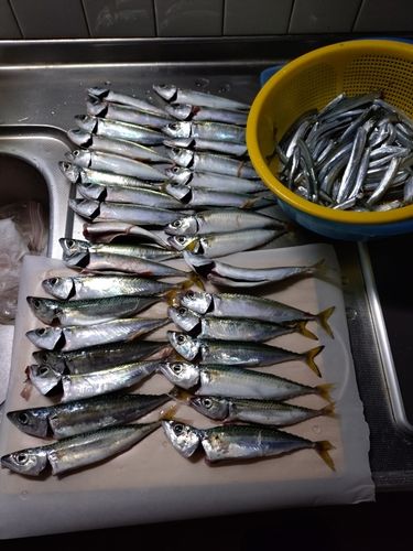 石狩湾新港