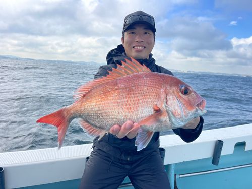 マダイの釣果