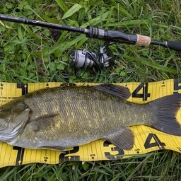 スモールマウスバス