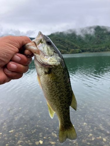 塩津湾