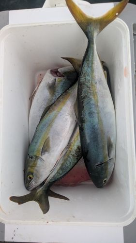 水産試験場跡