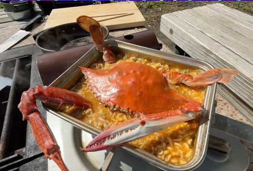 タイワンガザミの釣果