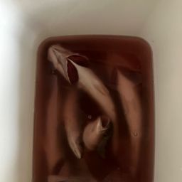 ワカシ