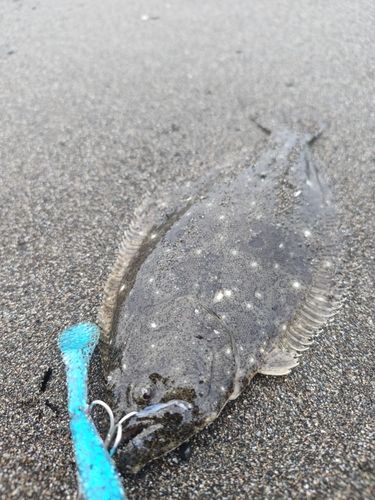 辻堂海浜公園前