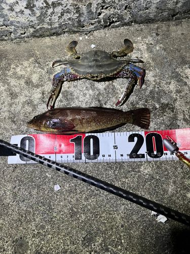 石狩湾新港